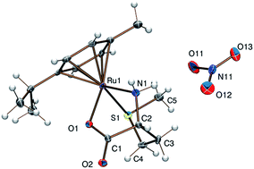 Graphical abstract: Half-sandwich complexes of ruthenium, osmium, rhodium and iridium with dl-methionine or S-methyl-l-cysteine: a solid state and solution equilibrium study