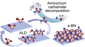 Graphical abstract: Low temperature atomic layer deposition of boron nitride using the in situ decomposition of ammonium carbamate