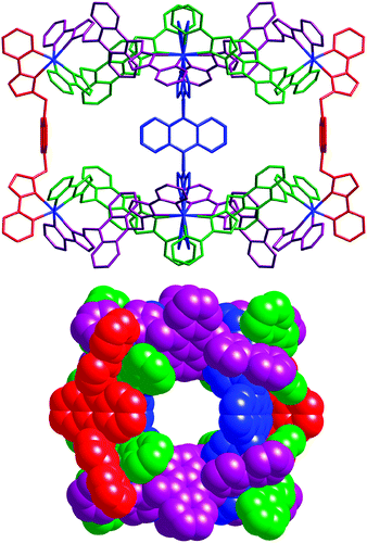 Two views of the complex cation of [Cu8(L9,10-anth)12][BF4]16: top, a view emphasising the ‘pillars’ (red and blue ligands) between the two tetranuclear cyclic helicates; bottom, a space-filling view. Crystallographically equivalent ligands are coloured the same.
