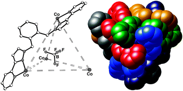 The tetranuclear cage complex cation of [Co4(Lo-Ph)6(BF4)](BF4)7, showing the tetrahedral superstructure with the encapsulated anion (left) and a space-filling picture emphasizing the close packing of ligands around the periphery (right).