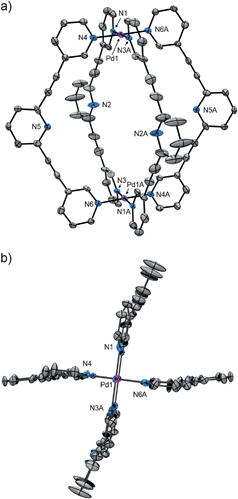 Labelled ORTEP representations of the molecular structure of the cage 2 (X = SbF6−); (a) side view, and (b) top-down view. The hydrogen atoms, solvent molecules and SbF6− anions are omitted for clarity. Selected bond lengths (Å) and angles (°): Pd1–N1 2.021, Pd1–N3A 2.027, Pd1–N4 2.027, Pd1–N6A 2.016, Pd1⋯Pd1A 11.497, N2⋯N2A 11.053, N5⋯N5A 10.996; N1–Pd1–N4 88.81, N4–Pd1–N3A 91.30, N3A Pd1–N6A 88.40, N6A–Pd1–N1 91.49.
