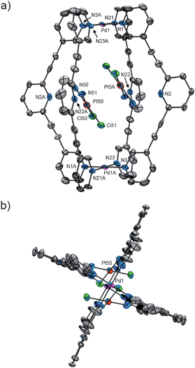 Labelled ORTEP views of the X-ray crystal structure of [2⊃(cisplatin)2](BF4)4: (a) side-view and (b) top-down view. The hydrogen atoms are omitted for clarity. Selected bond lengths (Å) and angles (°); Pd1–N1 2.035, Pd1–N3A 2.019, Pd1–N21 2.019, Pd1–N23A 2.034, Pd1⋯Pd1A 11.669, N2⋯N2A 10.965, N22⋯N22A 10.709, N50⋯N2 2.867, N51⋯N22A 3.122, Pt50⋯Pt5A 3.321; N1–Pd1–N23A 89.40, N23A–Pd1–N3A 90.02, N3A–Pd1–N21 89.77, N21–Pd1–N1 90.81.