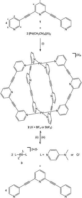 
          Self-assembly and stimuli-responsive dis- and re-assembly of the cage architecture 2. Disassembly of 2 is achieved via the addition of DMAP or Bu4NCl (8 eq.) to form [Pd(L)4]2+/−. The cage, 2, can be quantitatively reassembled by addition of acid (TsOH or CSA) or silver(i) ions, respectively. Reagents and conditions: (i) CD3CN or d6-DMSO, 1 h, 298 K; (ii) DMAP (8 eq.) or Bu4NCl (8 eq.); (iii) TsOH or CSA (8 eq.) or AgSbF6 (excess).