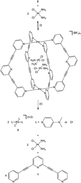 Formation of the host–guest adduct [2⊃(cisplatin)2](BF4)4 and subsequent release of the encapsulated cisplatin through disassembly of 2. Reagents and conditions: (i) sonication, 10 min, CD3CN, 298 K; (ii) DMAP (8 eq.) or Bu4NCl (8 eq.), CD3CN, 298 K.