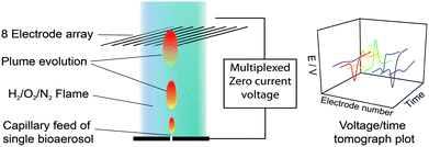 Schematic showing the basic principle of operation. Single bioaerosol particles enter the premixed laminar hydrogen/oxygen/nitrogen flame where they combust forming a plume with a unique shape reflecting its identity. As the plume interacts with the electrode array a potential difference (at zero current) is measured between the burner top and each electrode to give a voltage/time tomograph resolved in space.